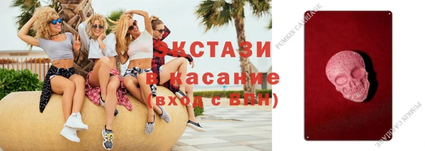 a pvp Аркадак
