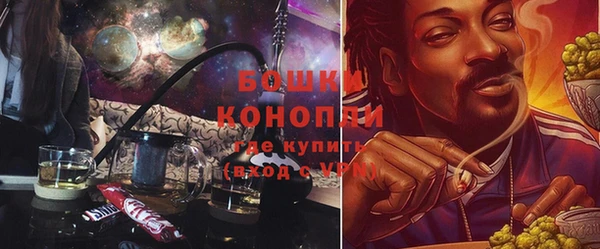 a pvp Аркадак
