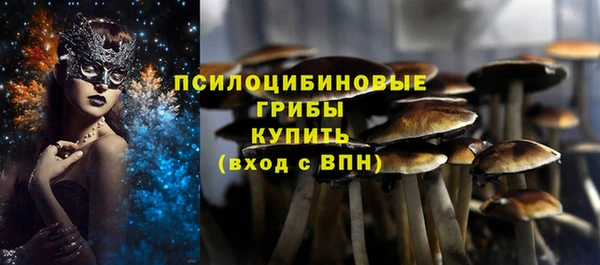 дмт Армянск